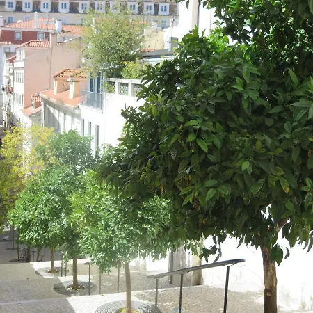 Апартаменты 3 Bedroom Apt, Historical Center, Tagus River View